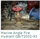 GBCB Marine Check ValveButterfly  Fire Hydrant