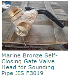 Marine Bronze Self - Closing Gate Valve Head for Sounding Pipe JIS F3019