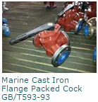 Marine Cast Iron Flange Packed Cock GBT593-93
