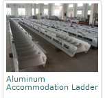 Marine Ladder